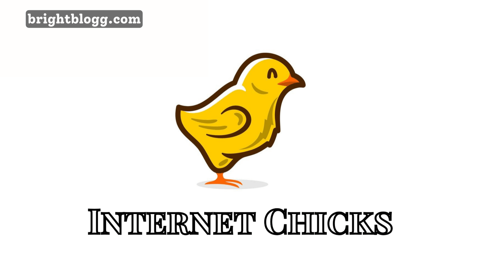 Internet Chicks: Leveraging Digital Platforms