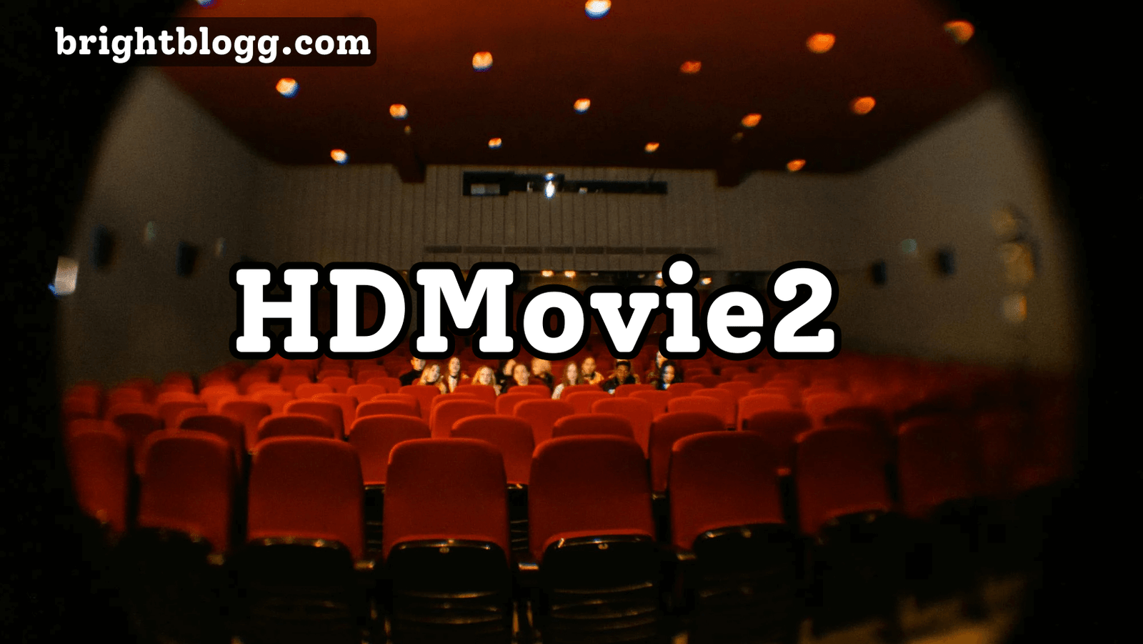 HDMovie2: A Guide to Movies on Demand